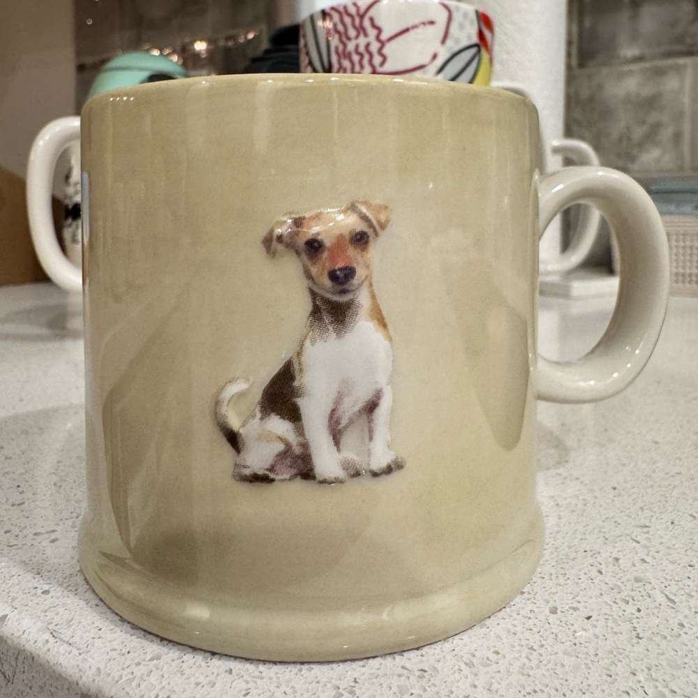Jackets Russell Terrier Dog 3D mug